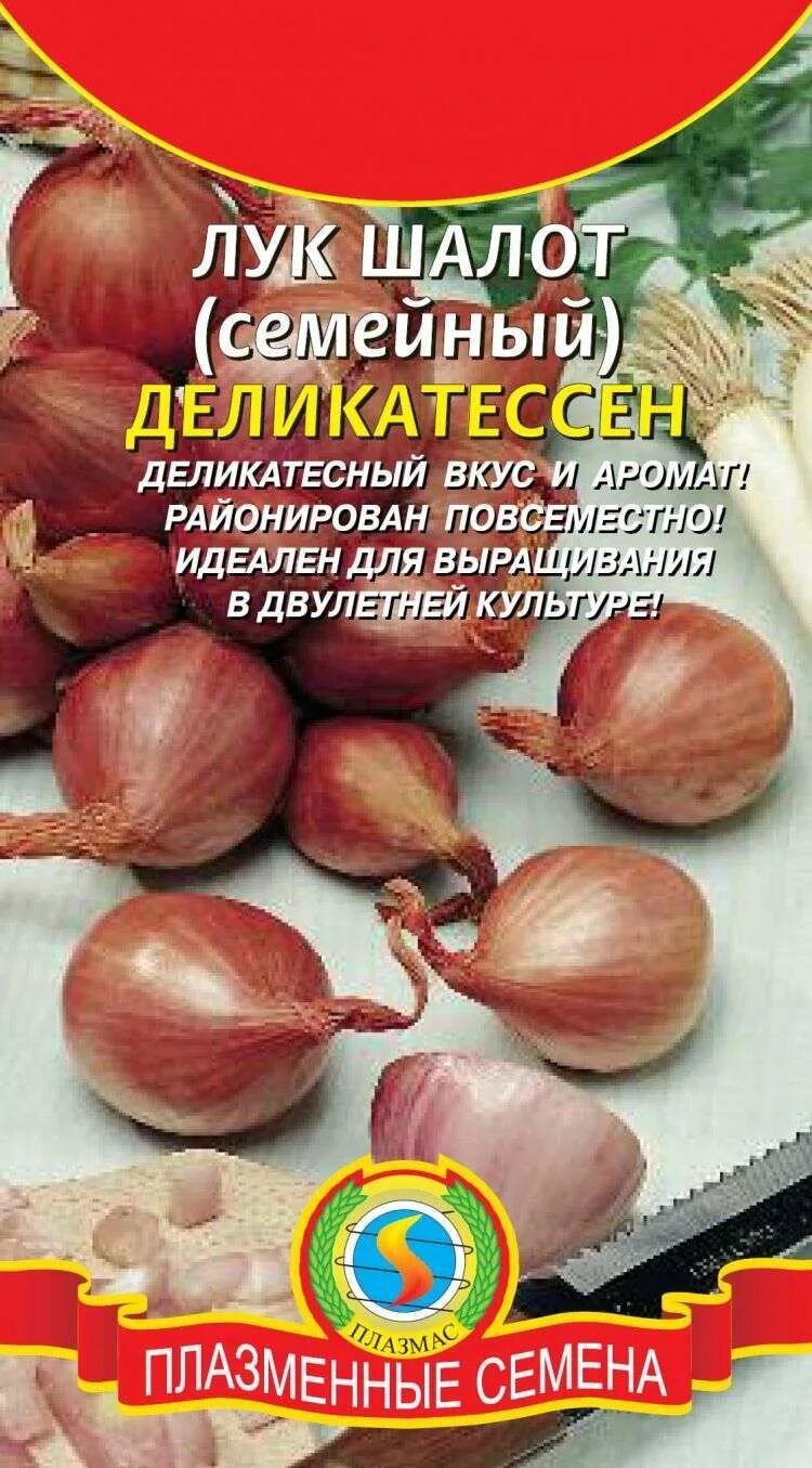 Семейный сорта. Семена лук шалот деликатес. лук семейный (шалот) дружная семейка. лук-шалот чиполучо. лук семейный (шалот, сорт сорокозубка).