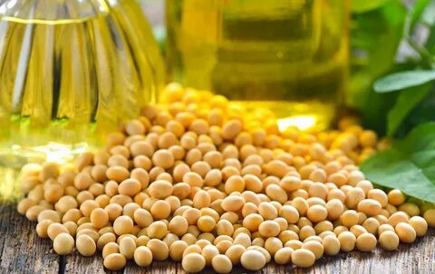 Soja soybean oil