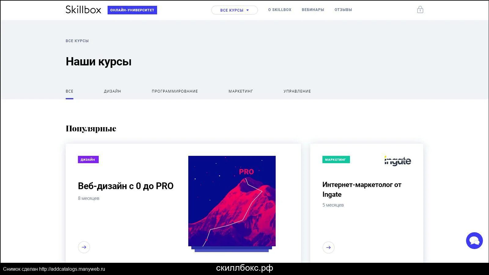 Скилл бокс бесплатные. Скиллбокс. skillbox личный кабинет. skillbox университет.