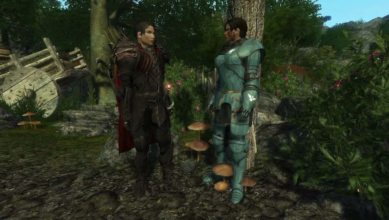 Enderal: forgotten stories (special edition). Enderal forgotten stories. Enderal дракон. Enderal forgotten stories броня. Лишари пегаст enderal.