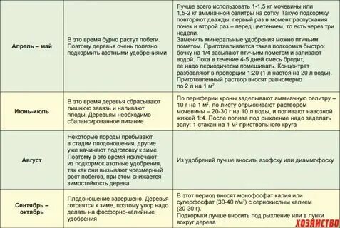 Какие удобрения внести при посадке тюльпанов