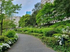 File:Around Roppongi Midtown 2.jpg - Wikimedia Commons