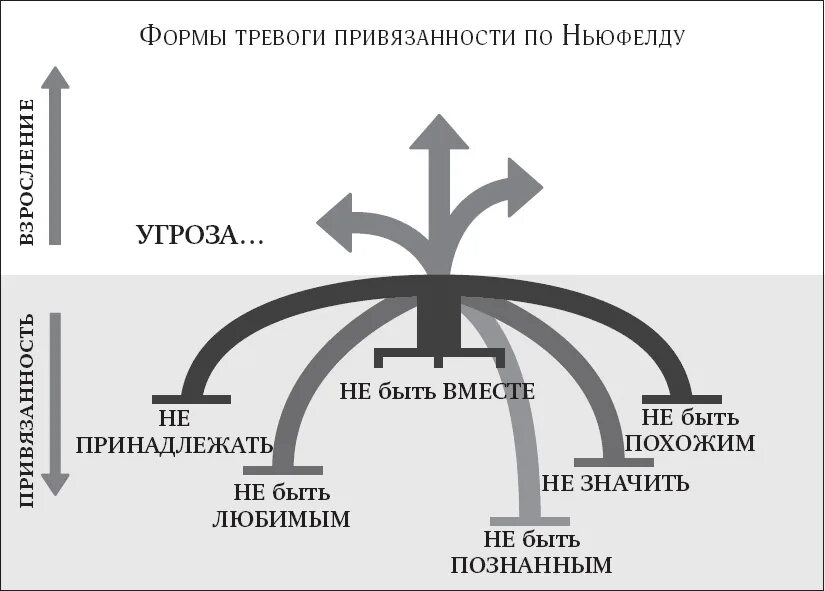 Теория привязанности ньюфельда. Круг агрессии. Фазы домашнего насилия. Как эмоции влияют на здоровье. Херлуф бидструп круг замкнулся.