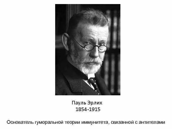 Создатели теории иммунитета. Создатели теории иммунитета