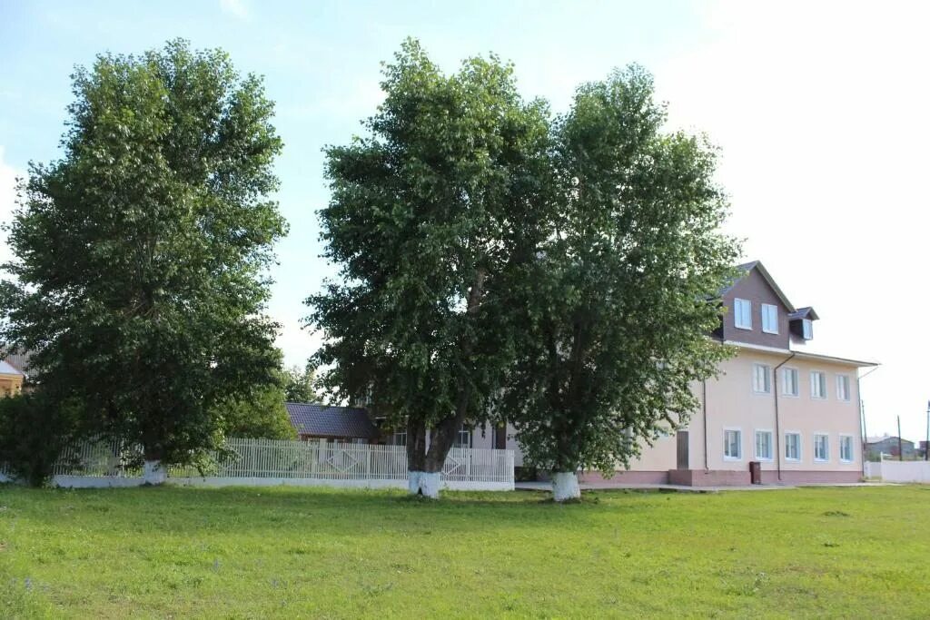 Отель подсолнухи в коломне. Портрет с подсолнухами. Гостиница подсолнухи коломна. Подсолнух пирочи. Кафе подсолнух чебоксары.