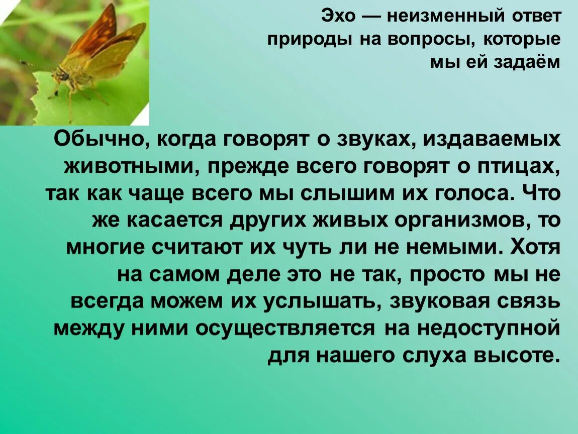 Вопрос эхо. Рассказ о звуках природы. Звуки природы вопросы. Звуки природы доклад. Описание звуков природы.