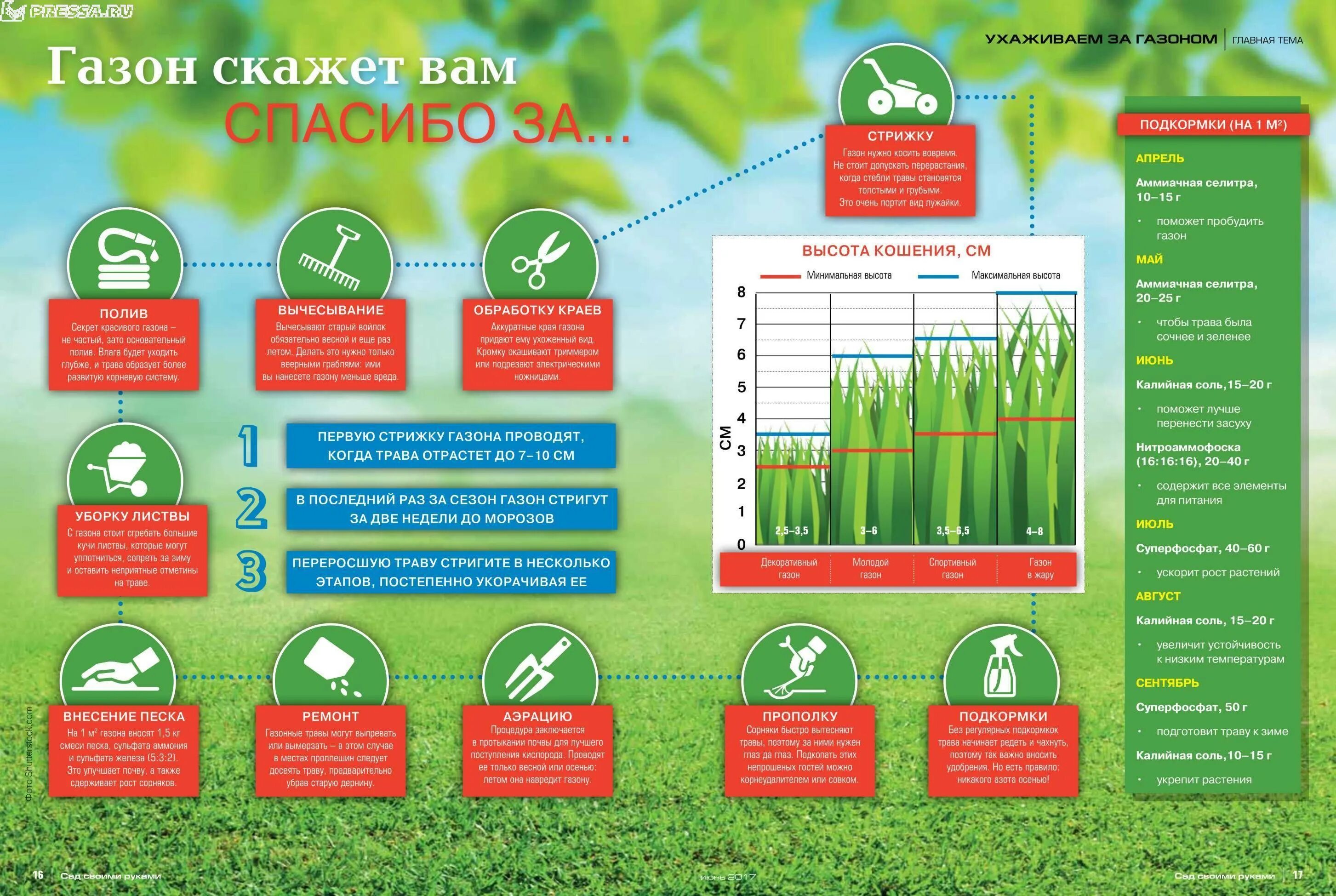 Инфографика газон. Подкормка газонов схема. Высота стрижки газона. Нормы стрижки газона. Расход газонной травы на 1 м2