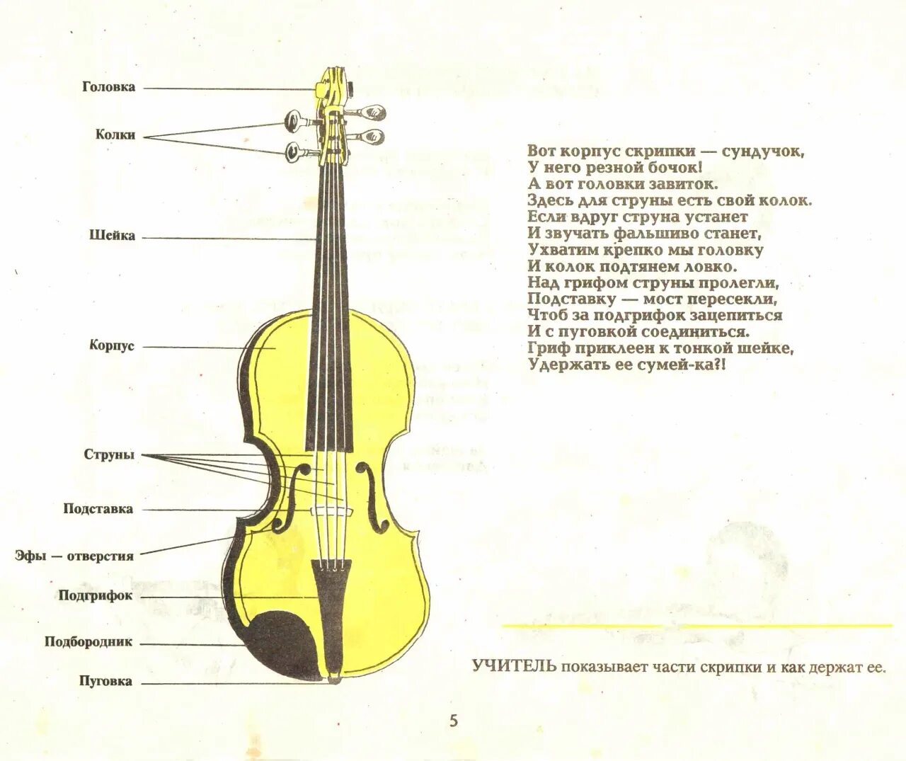 Скрипки и их названия. Альт струнные смычковые музыкальные инструменты. Строение скрипки. Смычок скрипки строение. Струнные смычковые инструменты скрипка альт виолончель контрабас.