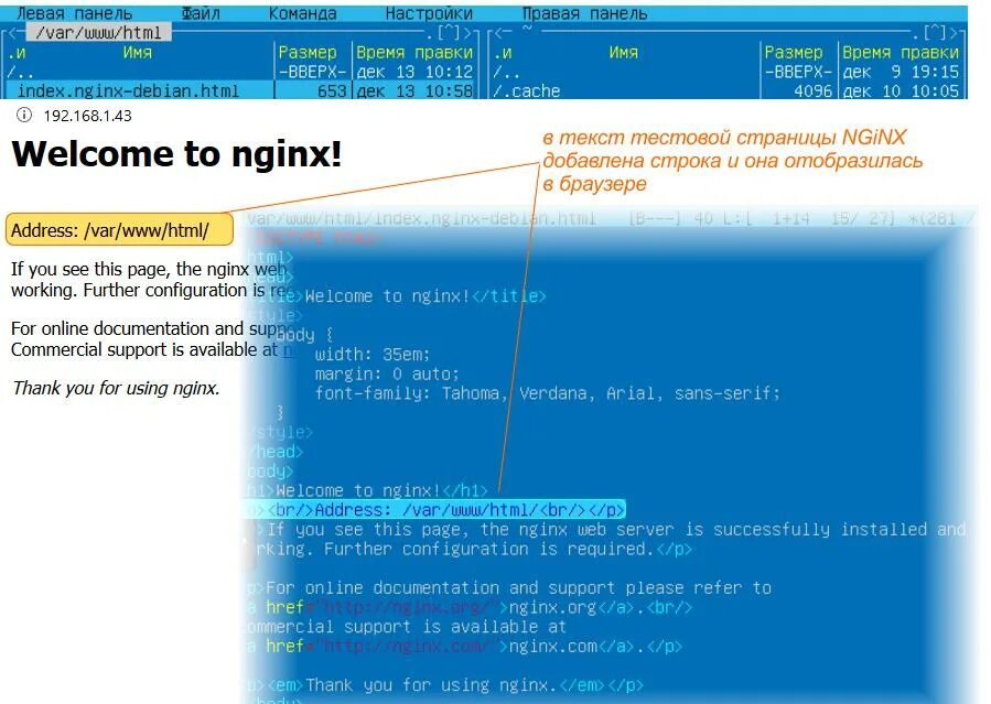 Настройка сервера nginx. Настройка сервера для nginx. nginx настройка. основные настройки nginx. nginx настройки по умолчанию.