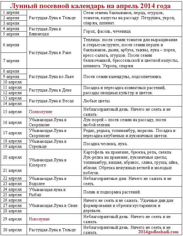 В какие дни в апреле можно сажать. Лунный календарь сажать лук. Посадки по народным приметам. Посадка растений на убывающую луну.