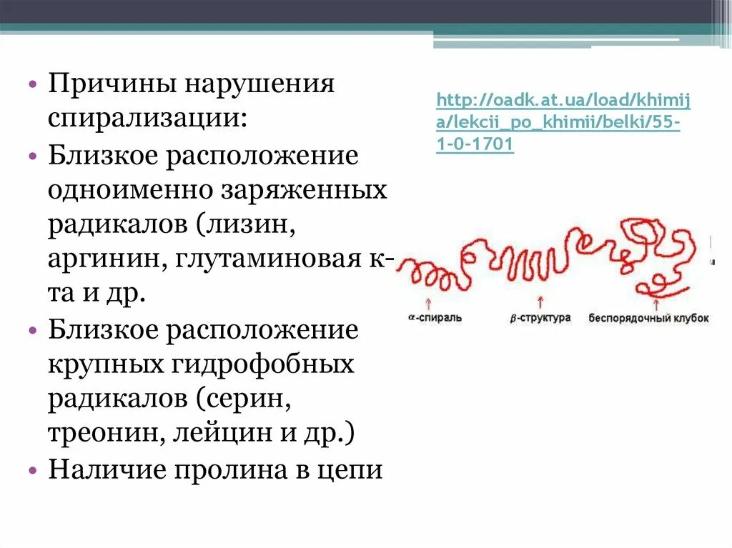 Спирализация белка. Факторы, нарушающие спирализацию. Типы спирализации. Факторы нарушающие спирализацию белков. Белок спирализация.