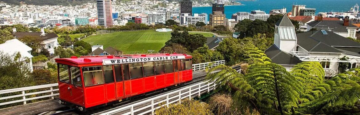 Новая зеландия репатриация. Новая зеландия репатриация. Новая зеландия пмж. Виза в новую зеландию для россиян. Новая зеландия иммиграция из россии требования.