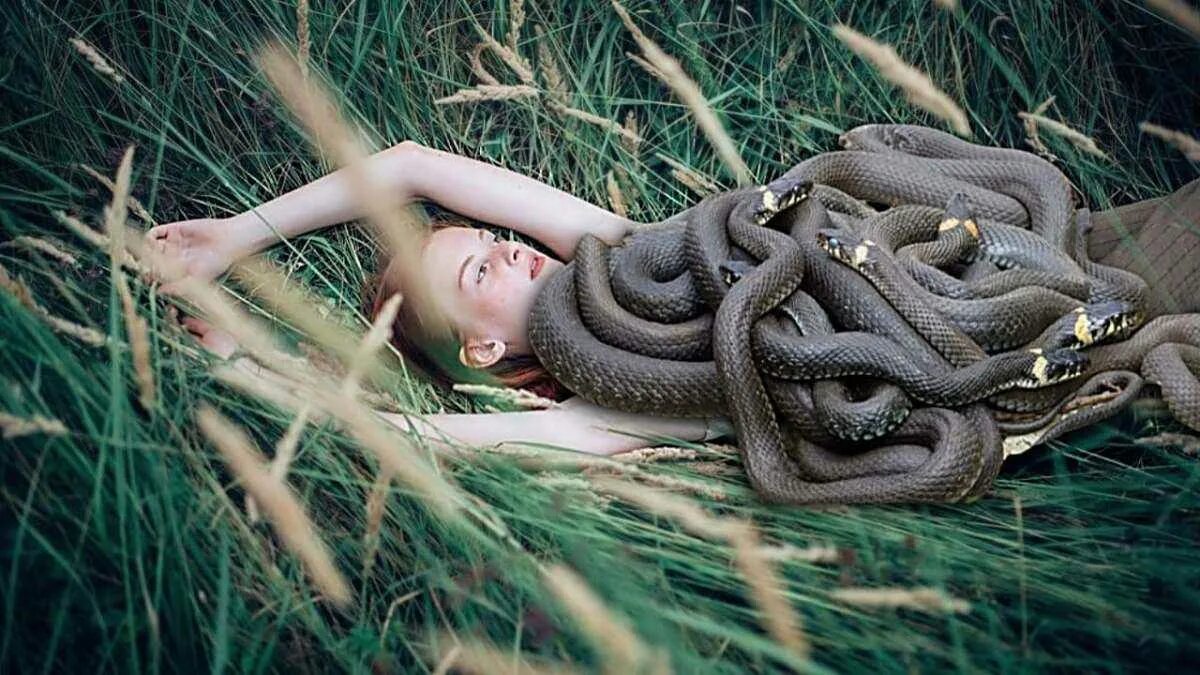 Песня девушка и змея. Клубок змей. девушка змея. змея в клубке. клубок гадюк.