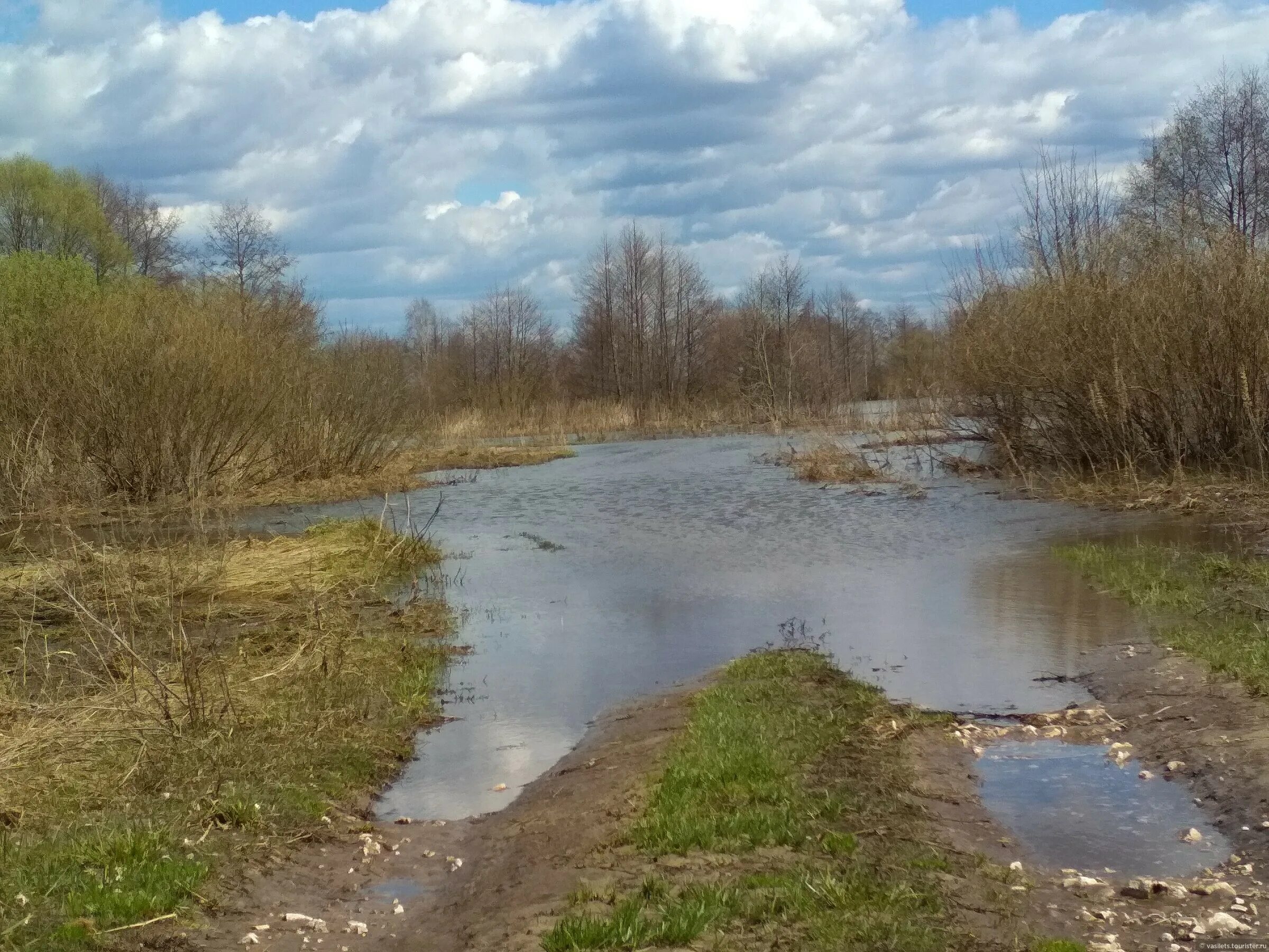 Паводок в рязанской области сейчас