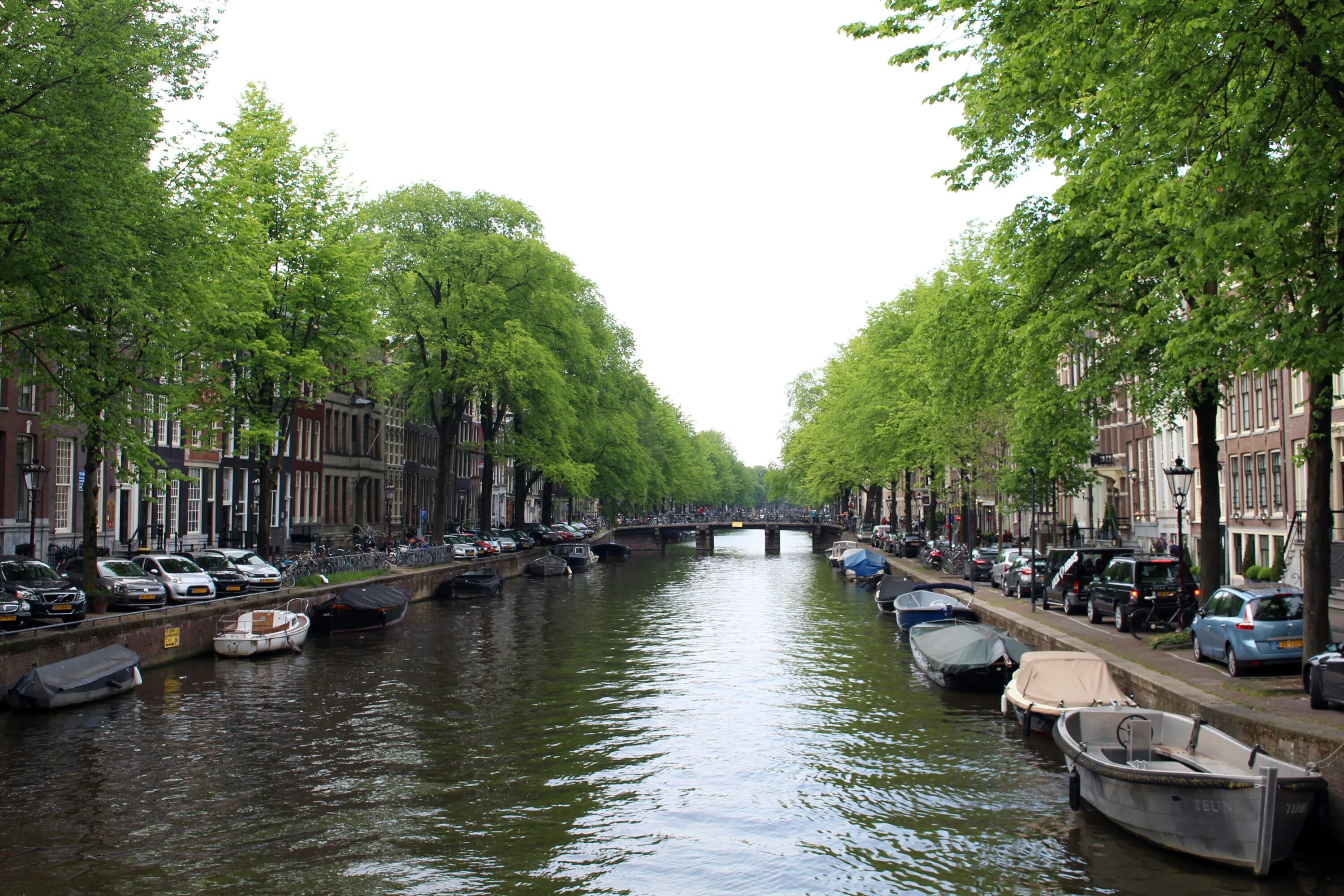 Город воды отзывы. Водные каналы Амстердама. Амстердам Речной канал. Канал Пивоваров в Амстердаме. Амстердам набережная.