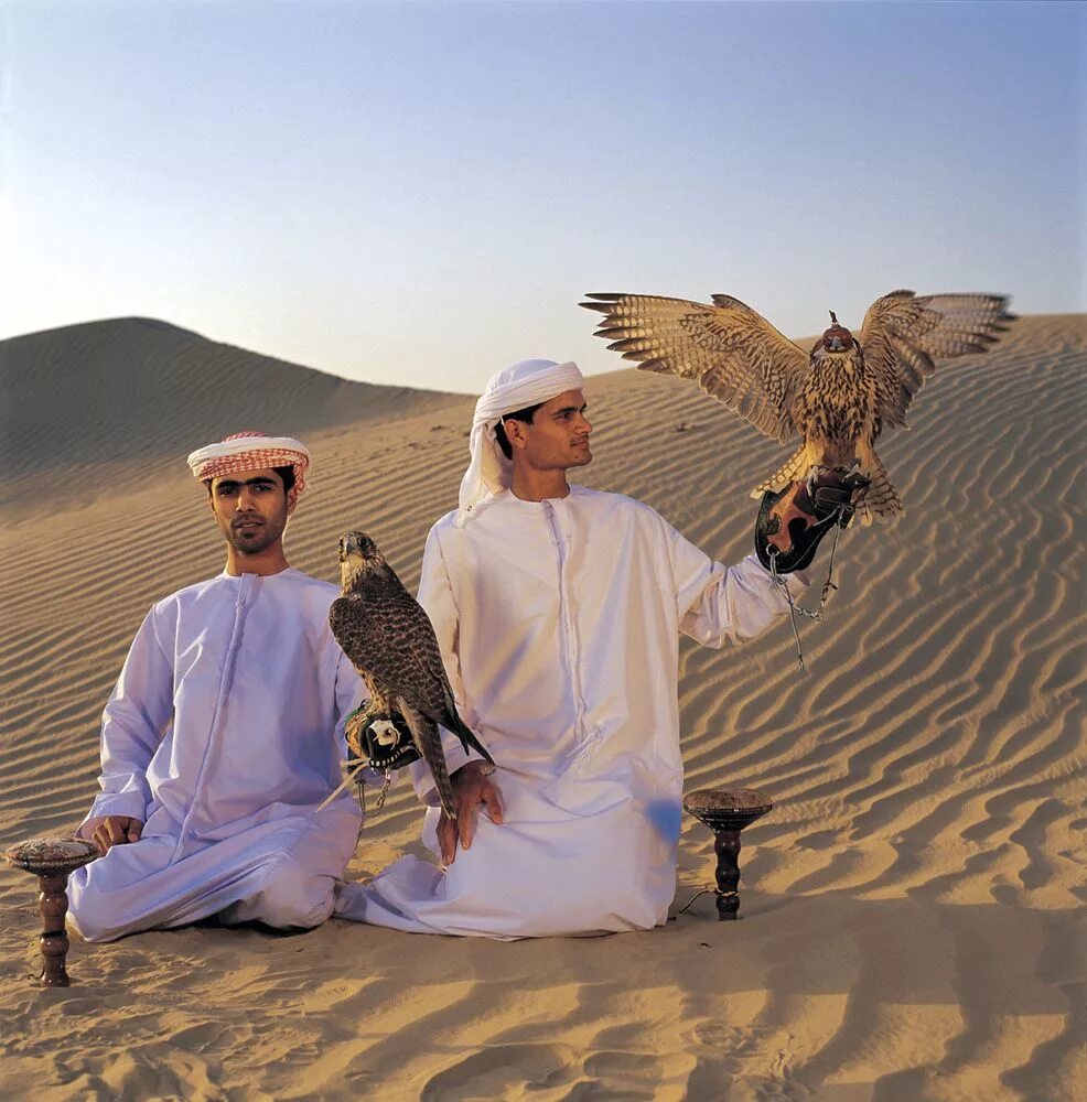 шейхи пустыни. арабский шейх бедуин. шейхи пустыни. бедуины туареги. шейхи пустыни.