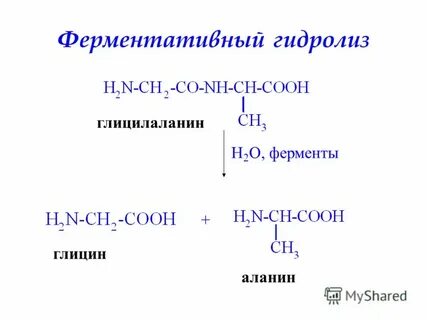 Глицин аланин