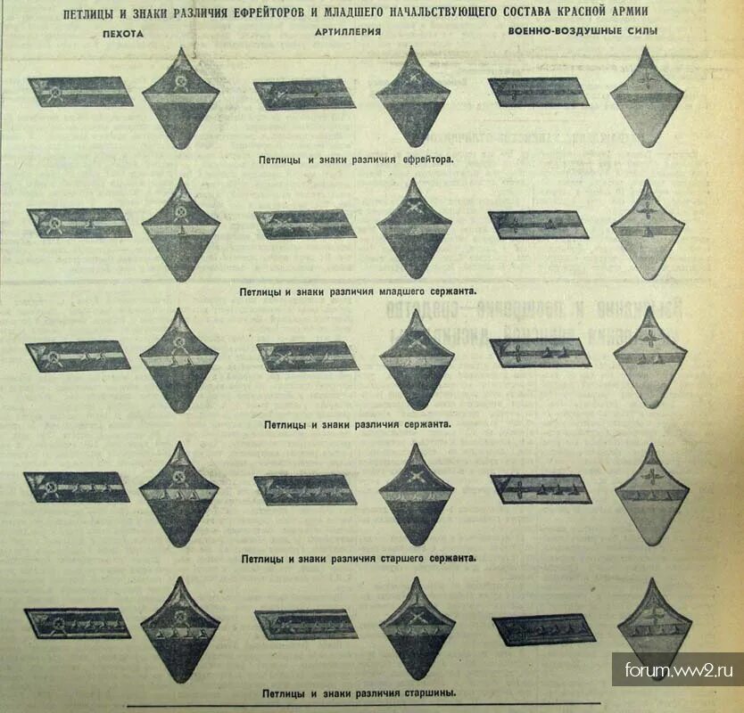 Когда в войну ввели погоны. Петлицы РККА до 1943 года НКВД. Звания красной армии до 1943. Звания на петлицах до 1943 в красной армии. Петлицы родов войск до 1943.