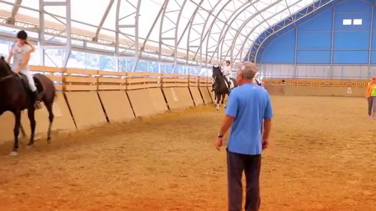 Конная школа набережные челны. Конный спорт сочи дагомыс. конная школа дагомыс. конюшня в дагомысе.