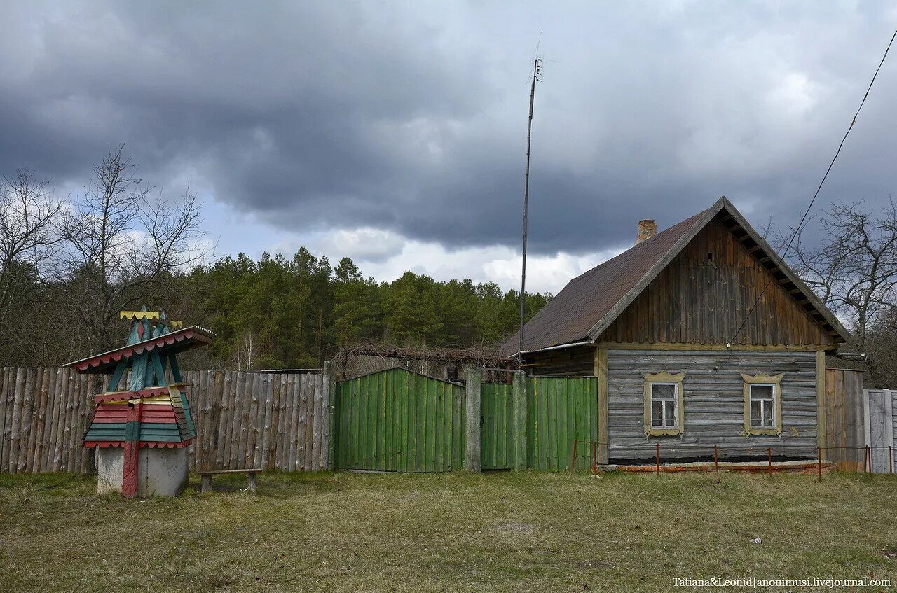 Купить участок в гомельском. Грабовка Гомельский район. Дер. Грабовка Беларусь. Деревню Грабовка. Гомельская область поселок Грабовка.