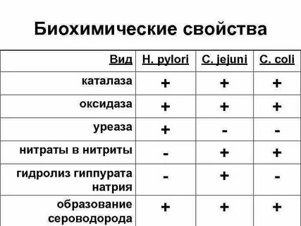 Характеристика биохимии