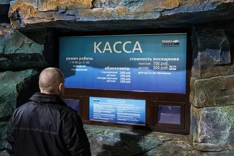 Океанариум ул мазита гафури 46 отзывы