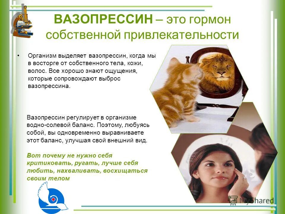 Вазопрессин гормон формула. Вазопрессин сосуды. Вазопрессин гормон химическая структура. Вазопрессин гормон. Вазопрессин это.