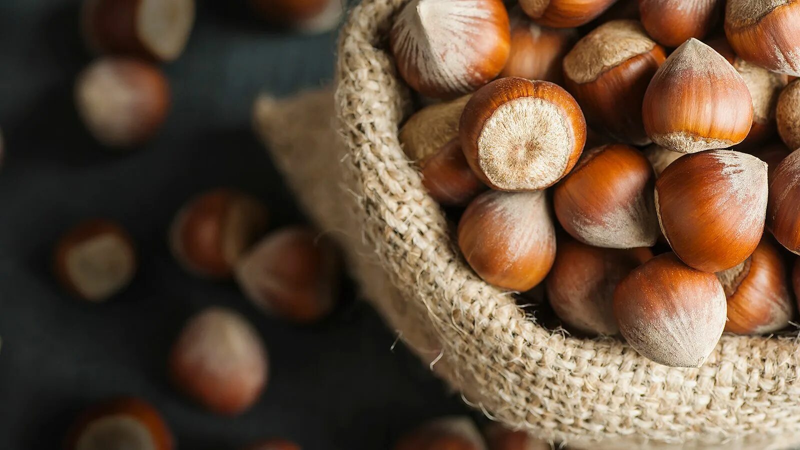 Орешник лесной орех. Фундук (лесной орех). Фундук 7. Фундук (лесной орех). Фундук 7.