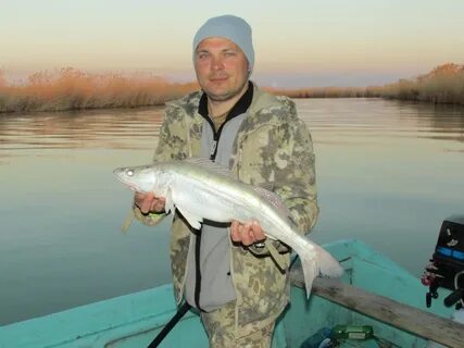 Какая рыба водится в белом озере