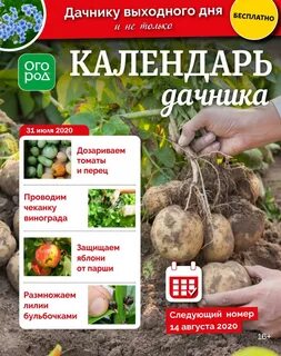 Огород расписание