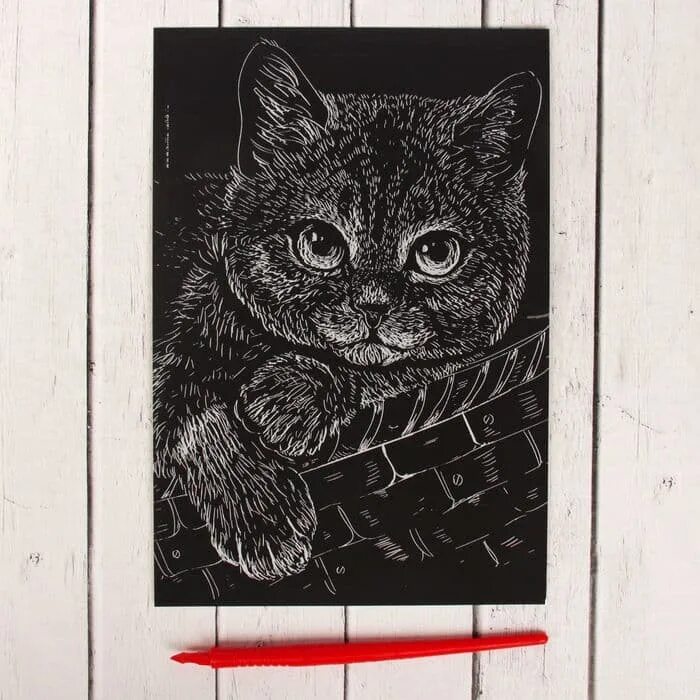 Линогравюра кот. Гравюра британский кот. Линогравюра кот. Граттаж заяц. Гравюра котик.