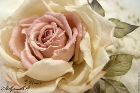 Master rose