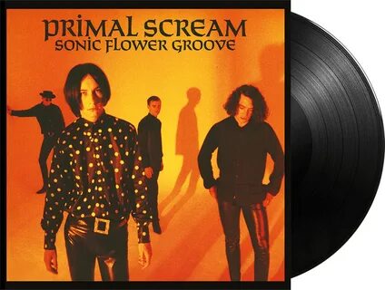 Harvard primal scream