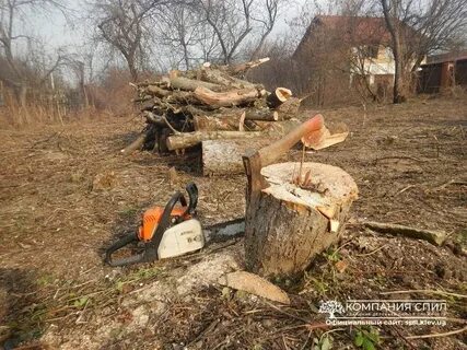 Порубочные остатки древесины