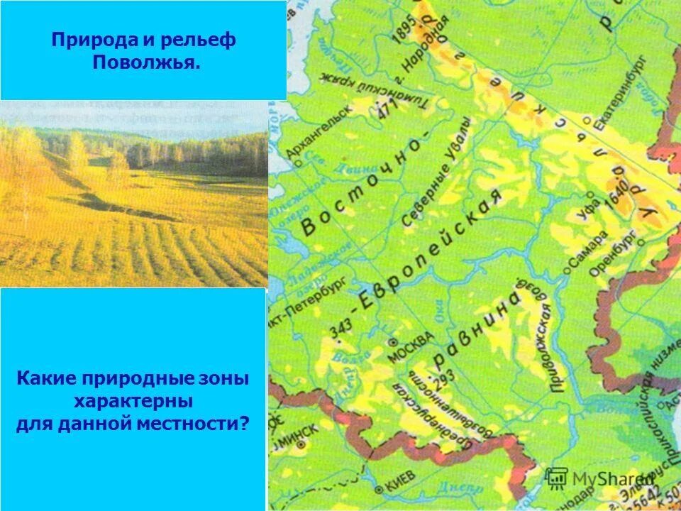 Природные зоны в которых расположено поволжье. Природа Поволжья рельеф. Природные зоны Поволжья. Рельеф рельеф Поволжья. Природ зоны Поволжья.