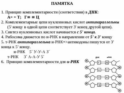 Теория 12 задания егэ биология. 12 задание егэ биология. 12 задание егэ биология. Егэ биология 2024. Пробный егэ по биологии.