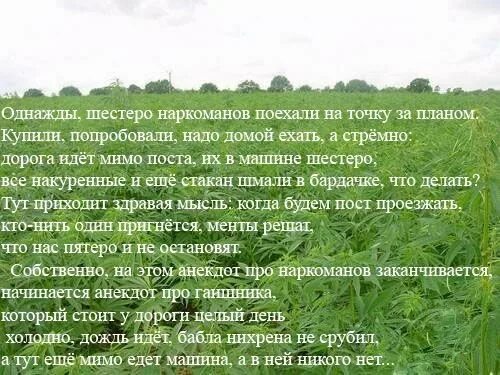 Мимо поста
