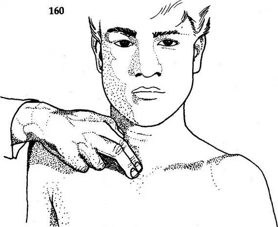 клювлвидный о росток пальпация. пальпация клювовидного отростка. массаж плеча, надплечья и плечевого сустава. пир дельтовидной мышцы. пальпация плечевого сустава.