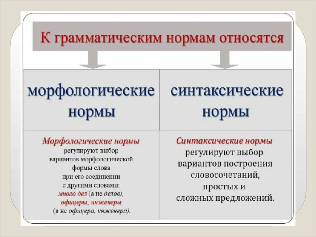 Морфологическая ошибка это