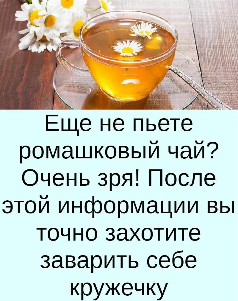 Если пить ромашку каждый день. Чем полезен ромашковый чай. Чай "Ромашка". Ромашковый чай для успокоения. Чай из ромашки.