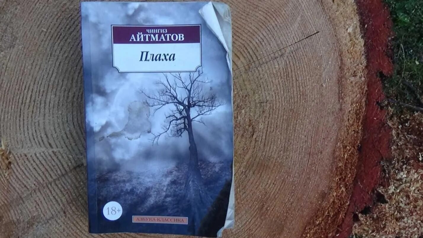 Книга айтматова плаха отзывы. Плаха Чингиза Айтматова. Ч. Т. Айтматова «плаха».