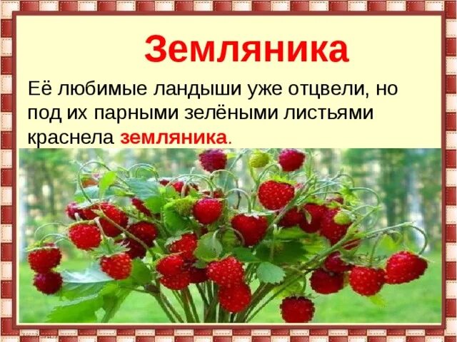 Предложение про землянику. Предложение со словом земляника. Земляника слово. Предложение про клубнику.