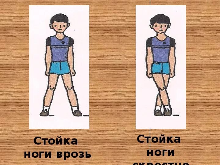 Изображать назад