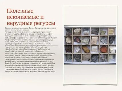 Полезные ископаемые новгородской