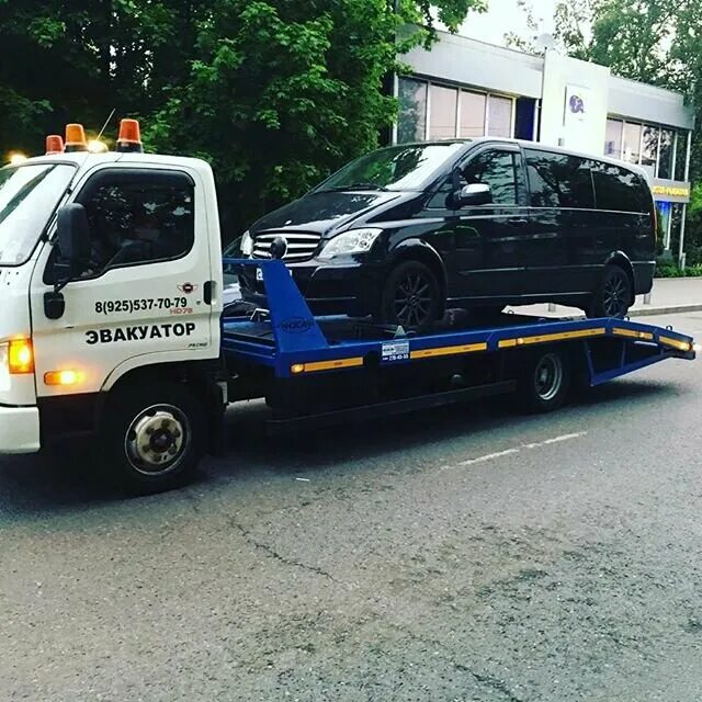 Эвакуатор щекино. Максим эвакуатор ясногорск. Эвакуатор щекино. Эвакуатор щекино. Эвакуатор щекино.