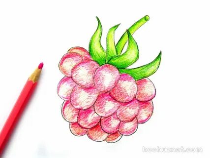 Легкий рисунок малины