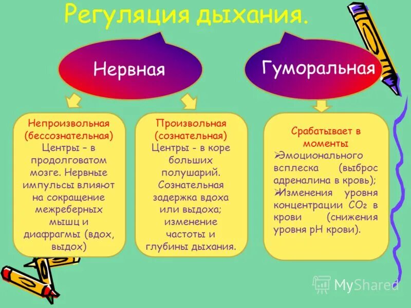 произвольная и автоматическая регуляция дыхания. характеристика неосознаваемых психических процессов. непроизвольный бессознательный. сознательное психология схема бессознательное. сознательный/бессознательный стили воспитания.