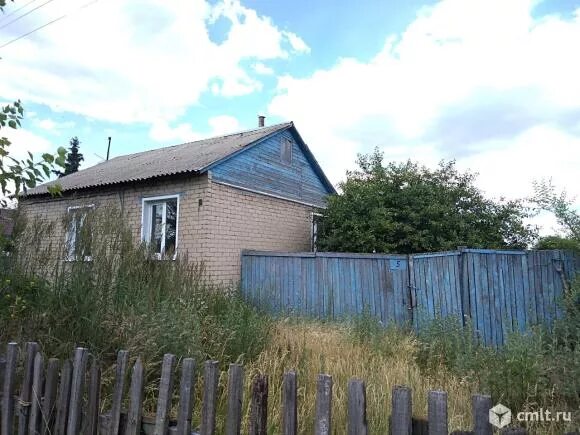 Погода в садовом воронежская аннинский. Погода в садовом воронежская аннинский. Поселок новая усмань воронежская область. Погода в садовом воронежская аннинский. Мосоловка воронежская область.