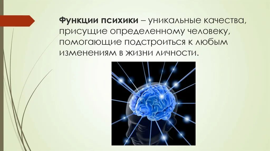 Функция психической организации. Функции психики. Основных функций психики. Основные функции психики. Ориентирующая функция психики.