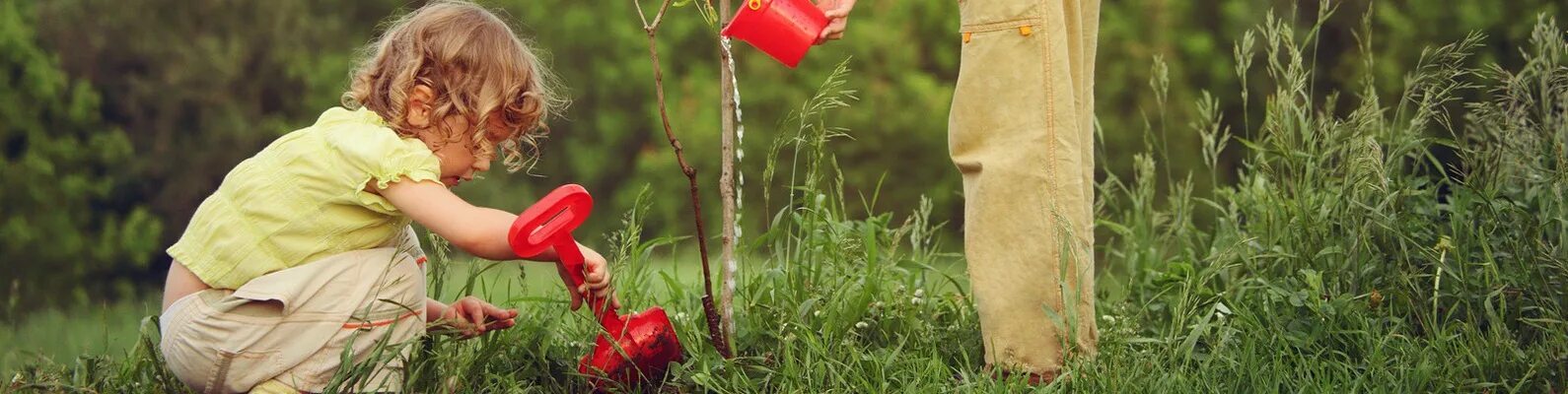 Сон сажать цветы в землю. Дети копают. Посадка растений картинки. Дети помогают сажать цветы. Сажали саженцы в саду сынок.